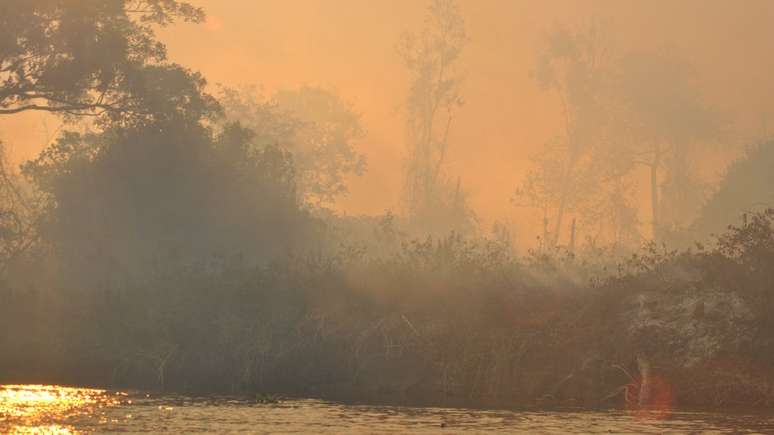 Entre os dias 1º de agosto e 31 de outubro, o número de focos de queimadas no Pantanal cresceu 506% na comparação com o mesmo período do ano passado.