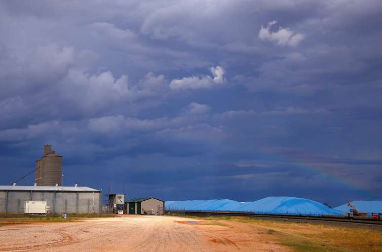 Área de produção de trigo em Burren Junction, Austrália 
15/03/2017
REUTERS/David Gray