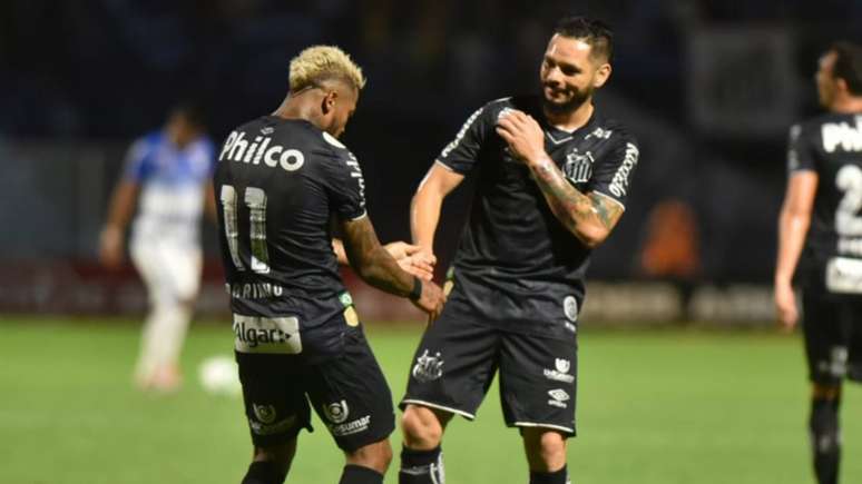 Santos enfrenta o Goiás, neste sábado, pelo Brasileiro (Foto: Ivan Storti/Santos)