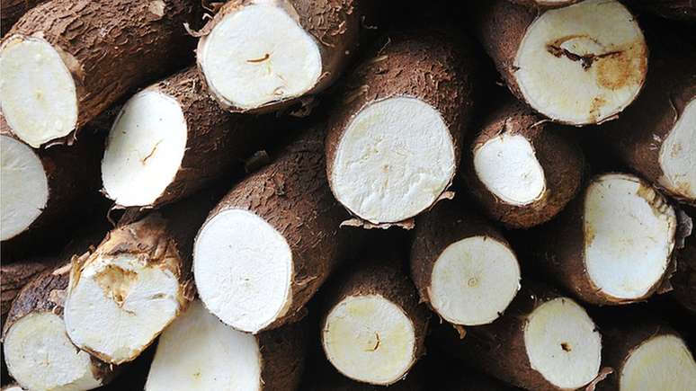 Mandioca pode ser altamente t&oacute;xica se preparada incorretamente