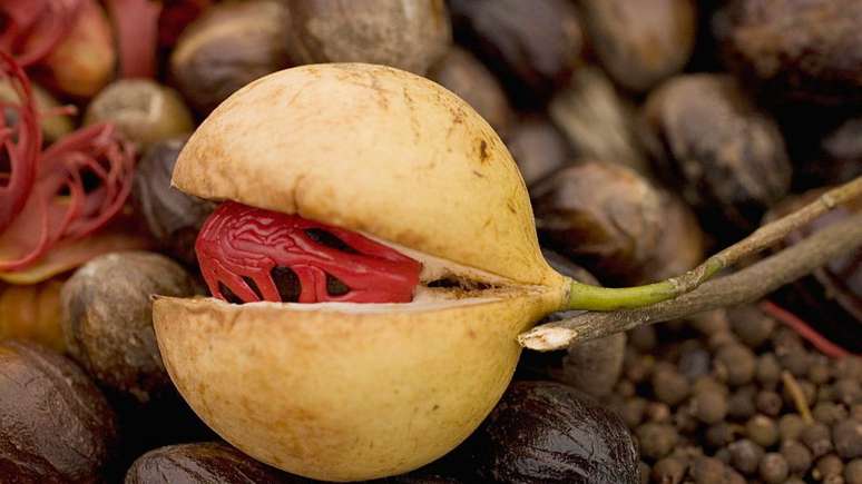 Consumo em excesso de noz-moscada pode causar efeitos psic&oacute;ticos