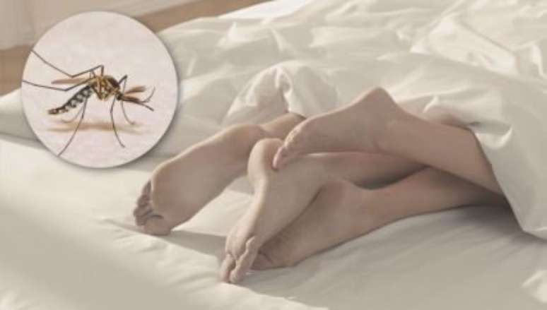 Primeiro caso de transmissão da dengue por sexo é confirmado - Foto: Shutterstock