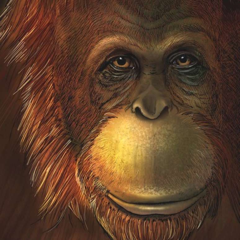 Ilustra&ccedil;&atilde;o reconstr&oacute;i face do macaco: esp&eacute;cie chegava a 3 metros de altura e 600 kg