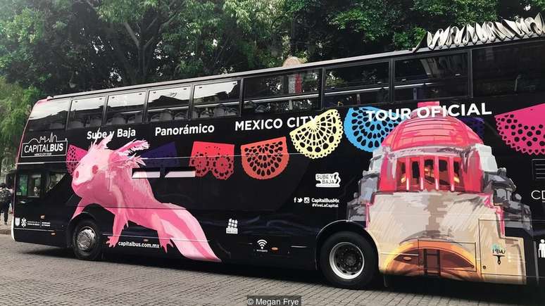 O novo ônibus de turismo oficial da Cidade do México exibe a imagem de um axolote albino