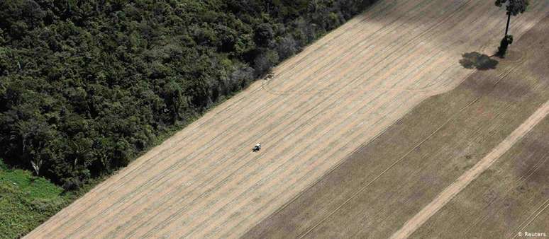 Entre 1998 a 2012, região perdeu uma área de floresta equivalente ao tamanho da Áustria