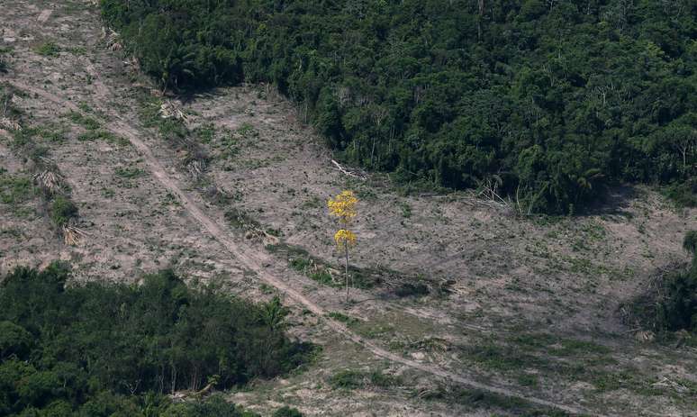 Vista aérea mostra área desmarada da Amazônia no município de Itaituba, no Pará
26/09/2019 REUTERS/Ricardo Moraes