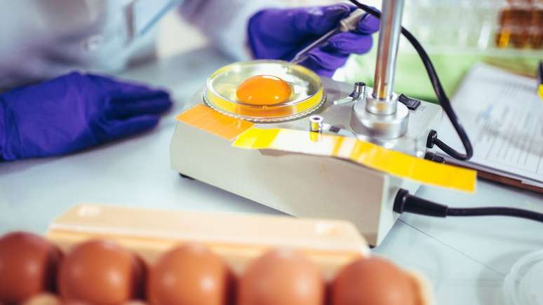 Ovos, leite, carnes... A ciência tem hoje métodos para detectar microrganismos resistentes nos alimentos, mas poucos países fazem esse monitoramento sistematicamente