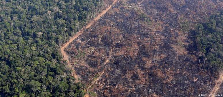 Área devastada em Rondônia, o quarto estado que mais devastou a floresta em 12 meses