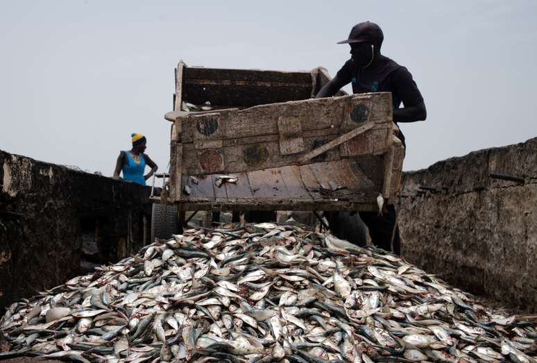 Pescador entrega peixes a processadora artesanal de pesca em Joal-Fadiouth, no Senegal
10/04/2018
REUTERS/Sylvain Cherkaoui