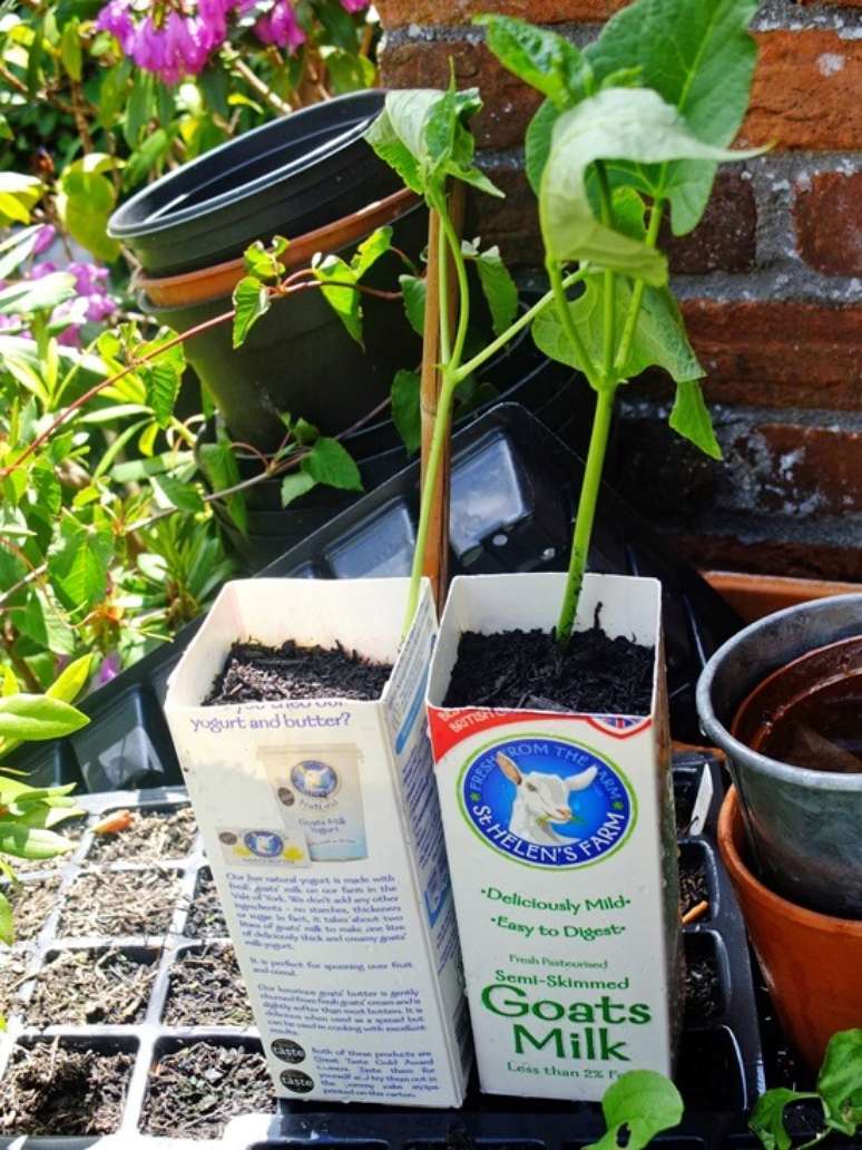 9. Você pode utilizar as caixinhas de Tetra Pak como vasinho para mudas de plantas. Fonte: Pinterest
