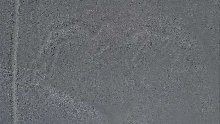 As novas tecnologias permitiram identificar com precis'ao o que havia por tr&aacute;s do tra&ccedil;ado