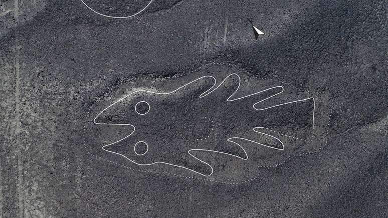 Este peixe &eacute; uma das novas figuras identificadas