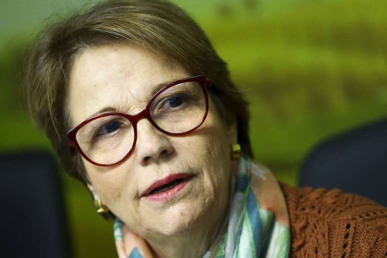 A ministra da Agricultura, Tereza Cristina.