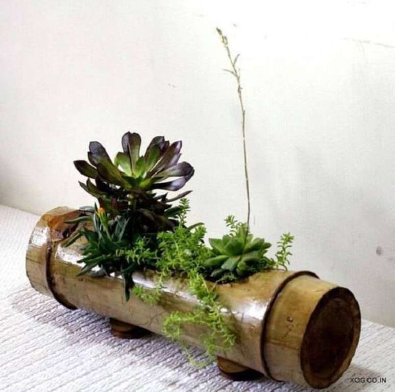 12. Artesanato bambu como fazer para plantas. Fonte: Pinterest