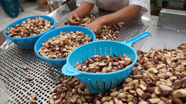 Estudo brasileiro inclui ganhos com produção de alimentos e matérias-primas da Amazônia