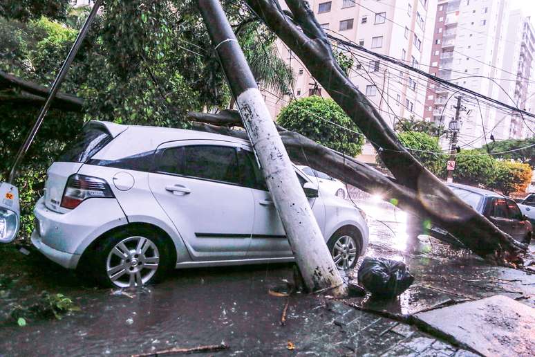 Um carro foi atingido por uma árvore, que também derrubou um poste, durante a forte chuva que atingiu a cidade de São Paulo.