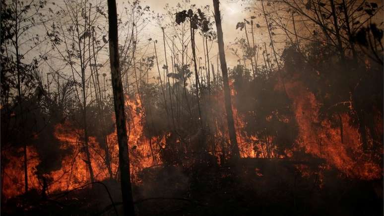 Mais de 650 mil m² de floresta foram atingidos pelo fogo em Alter do Chão, no Pará