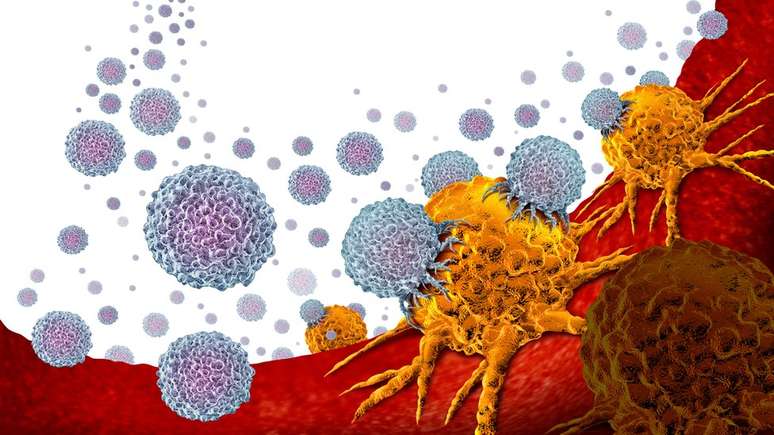A imunoterapia usa nosso próprio sistema imunológico para reconhecer e atacar células cancerígenas