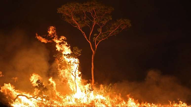 Voluntários trabalharam em parceria com Corpo de Bombeiros para apagar incêndios em Alter do Chão