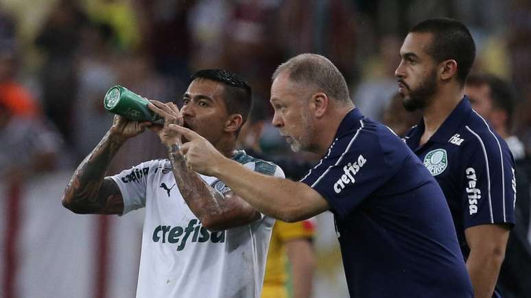 Mano Menezes conversa com Dudu durante a derrota para o Fluminense (Foto: Cesar Greco)