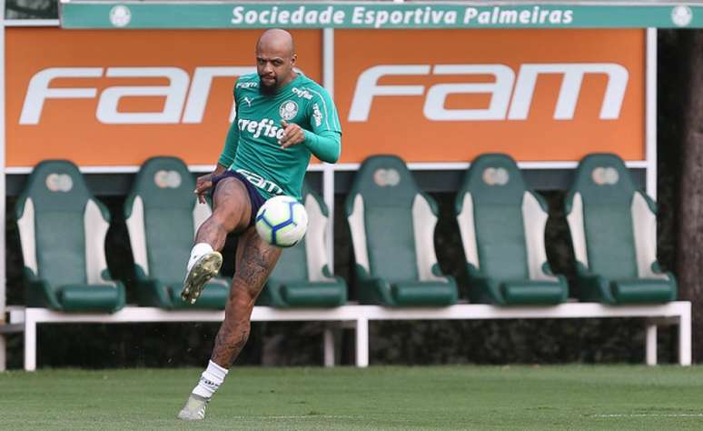 Felipe Melo não joga desde o dia 2 e deve retornar à equipe titular neste domingo (Agência Palmeiras/Divulgação)