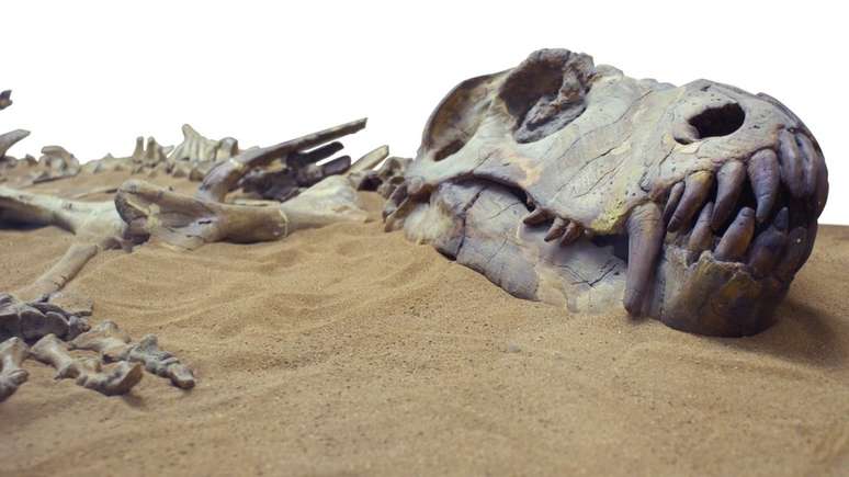 Os dinossauros foram extintos há cerca de 66 milhões de anos — mas há vários outros animais que já desapareceram da face da Terra de uma forma menos 'dramática'