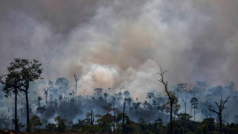 Brasil está sob crescente pressão internacional por causa do aumento do desmatamento