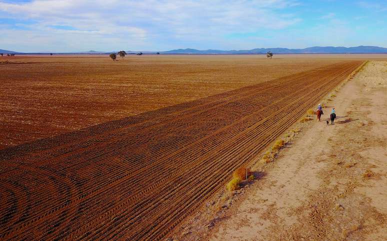 &Aacute;rea afetada pela seca em Gunnedah, Austr&aacute;lia, onde costumava haver plantio de trigo 
21/07/2018
REUTERS/David Gray