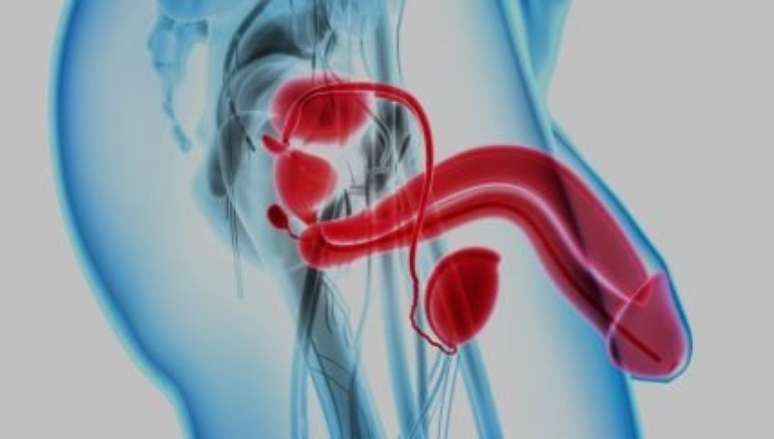Nova técnica promete diagnosticar câncer de próstata pela urina - Foto: Shutterstock