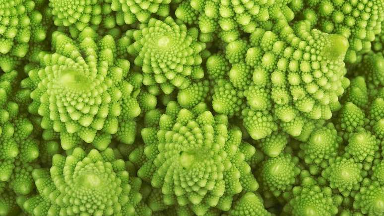 A estrutura geral do br&oacute;colis romanesco &eacute; composta por uma s&eacute;rie de cones repetidos