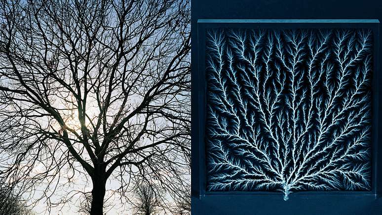 &Agrave; esquerda, a silhueta de uma &aacute;rvore. &Agrave; direita, as figuras de Lichtenberg, que nada mais s&atilde;o que descargas el&eacute;tricas ramificadas... Curiosamente s&atilde;o parecidas, n&atilde;o?