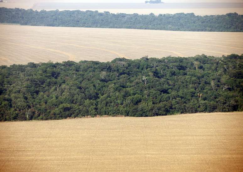 Plantações de soja cercadas por floresta, no Mato Grosso
09/09/2011
REUTERS/Paulo Whitaker