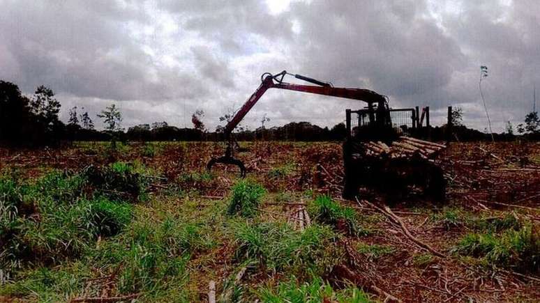 A&ccedil;&atilde;o movida pelo Minist&eacute;rio P&uacute;blico Federal na Bahia acusa a Veracel de desmatar Mata Atl&acirc;ntica e pede R$ 20 milh&otilde;es em indeniza&ccedil;&atilde;o, al&eacute;m do reflorestamento de 96 mil hectares de terras