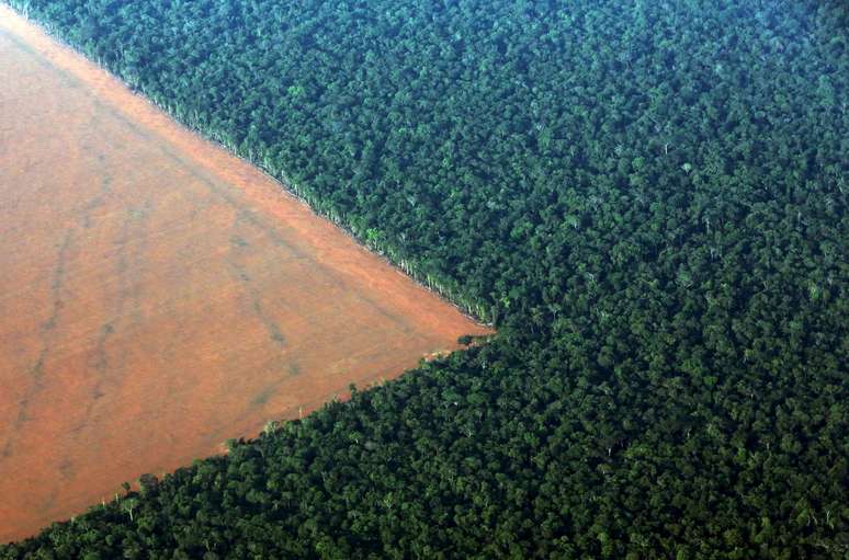 Área de fronteira entre Floresta Amazônia e produção rural em Mato Grosso 
04/10/2015
REUTERS/Paulo Whitaker