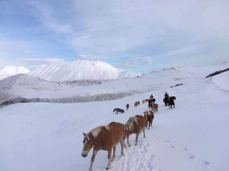 Unesco declara transum&acirc;ncia como patrim&ocirc;nio da humanidade