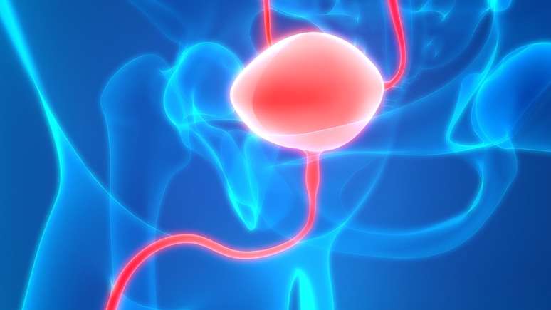 O Servi&ccedil;o Nacional de Sa&uacute;de brit&acirc;nico recomenda idas ao banheiro quando a bexiga est&aacute; cheia e n&atilde;o 'por via das d&uacute;vidas'