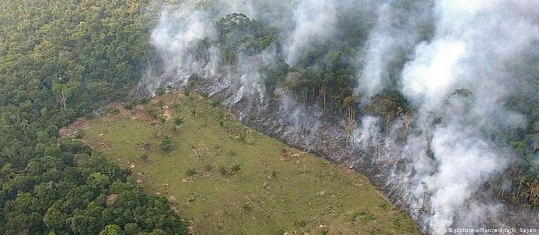 Desmatamento e queimada na Amazônia brasileira: medida de Bolsonaro pode anistiar desmatadores