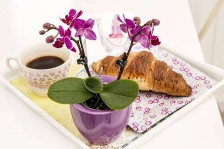 39. Mini orqu&iacute;deas raras para decora&ccedil;&atilde;o de casa &ndash; Via: Pinterest