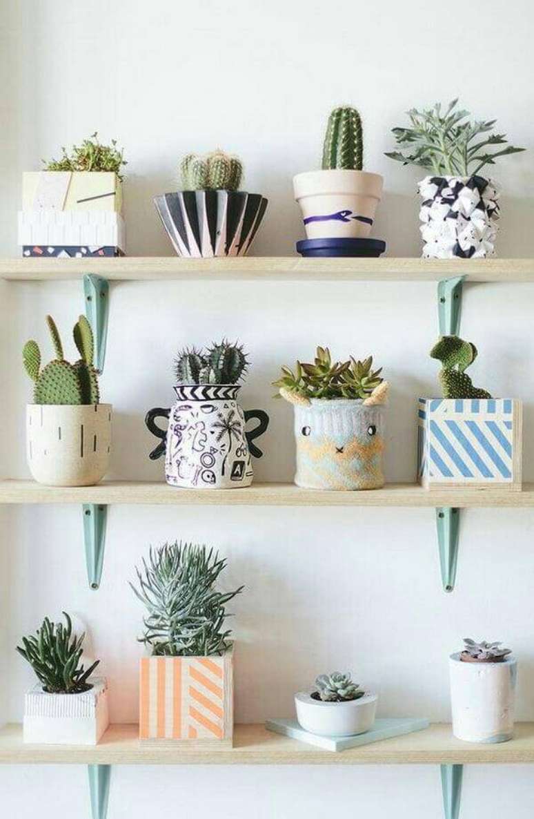 58. Utilize as prateleiras para cultivar diferentes tipos de cactos e suculentas. Fonte: Pinterest