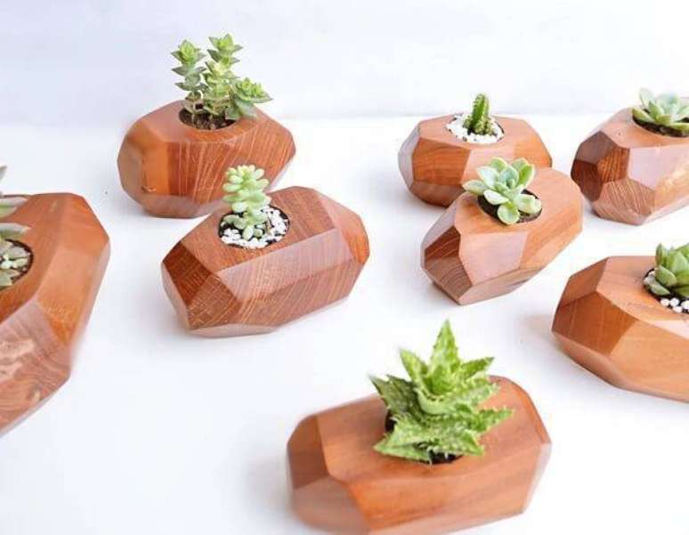 59. Pequenos pedaços de madeira podem servir como vasos para diferentes tipos de cactos. Fonte: Pinterest