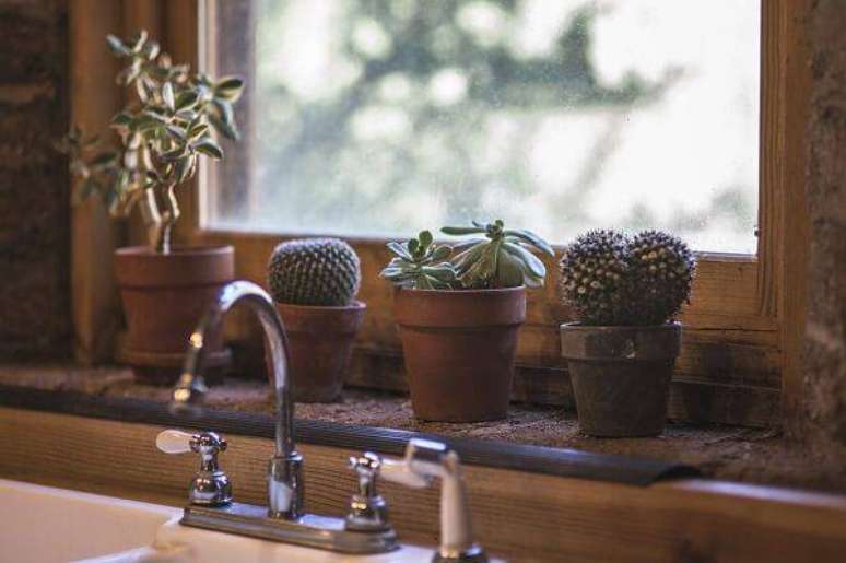 64. Aproveite o cantinho da janela para cultivar diferentes tipos de cactos e suculentas. Fonte: Pinterest
