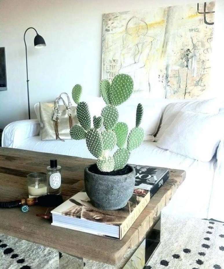 34. Decore a sala de estar com diferentes tipos de cactos. Fonte: Pinterest