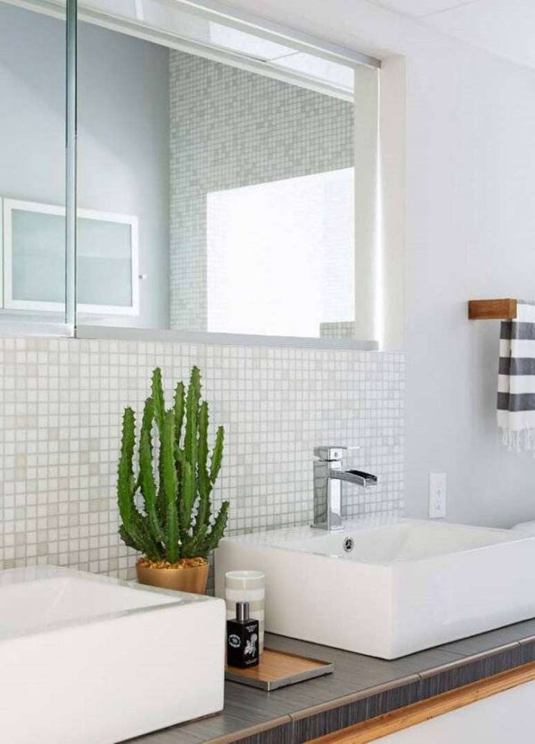 65. Decore o espaço da banheiro com diferentes tipos de cactos. Fonte: Pinterest