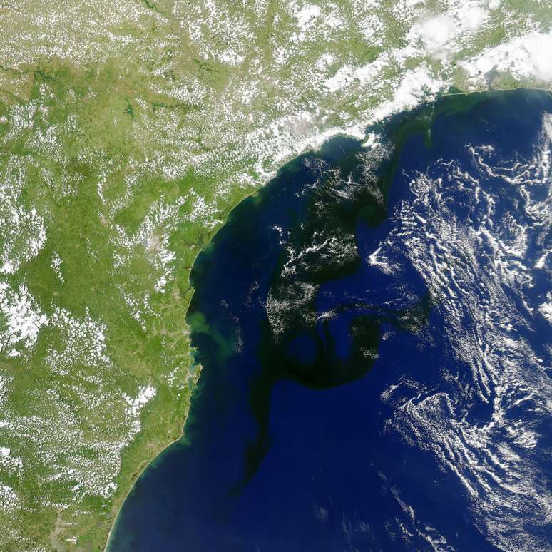 Em 2014, Nasa divulgou imagem de colônia gigante de protistas na costa brasileira; de perto, ela tem cor vermelha, mas de longe, pode ser confundida com mancha de petróleo