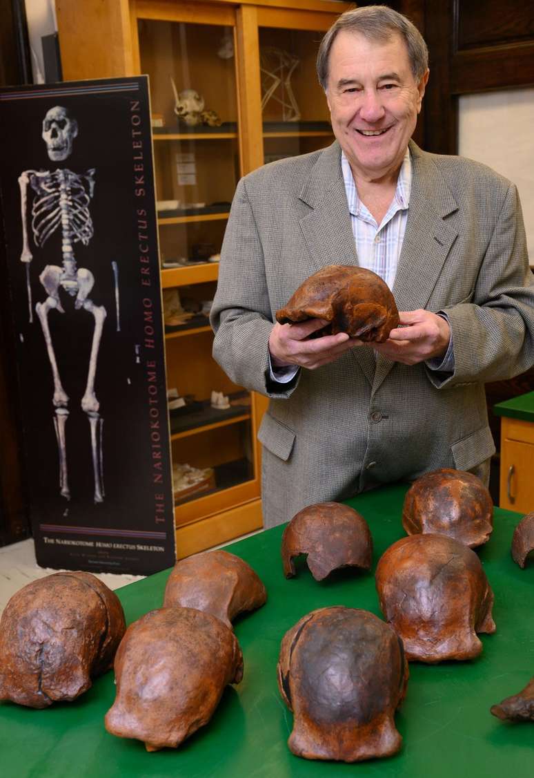 Russell Ciochon posa com réplicas dos crânios de 'Homo erectus' encontrados em Ngandong