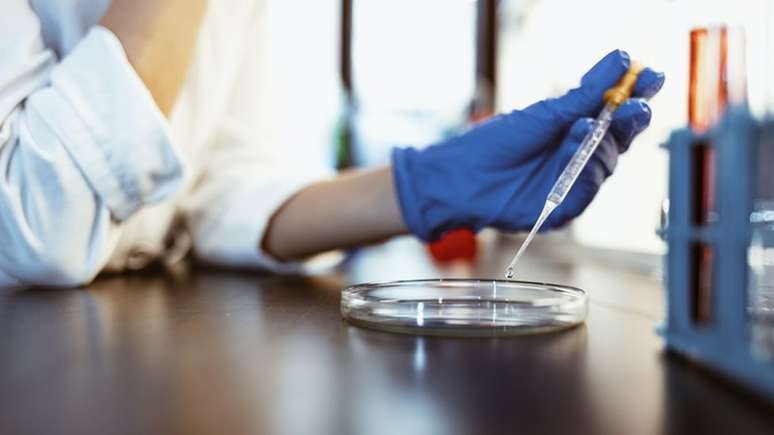 Alguns especialistas dizem que a legisla&ccedil;&atilde;o desburocratizou a explora&ccedil;&atilde;o da biodiversidade econ&ocirc;mica brasileira; para outros, por&eacute;m, ela tem inviabilizado pesquisas cient&iacute;ficas