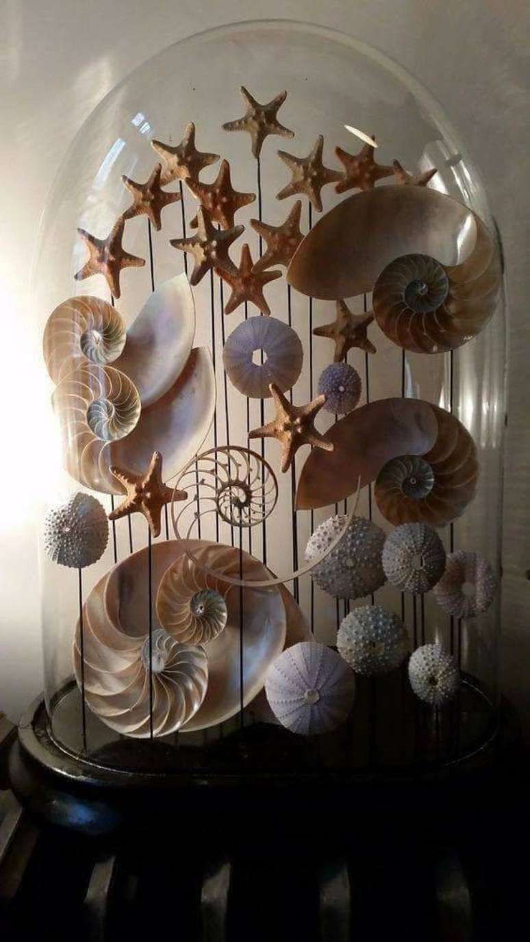Um porta retrato com conchas do mar.  Seashell crafts, Sea shell decor,  Seashell frame