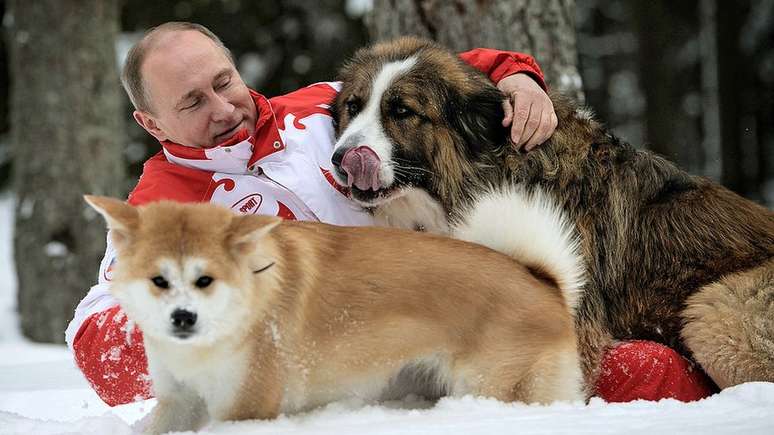 Putin tamb&eacute;m j&aacute; mostrou seu lado fofo, como &eacute; o caso desta foto de 2013, em que ele brinca com seus c&atilde;es Buffy e Yume na neve