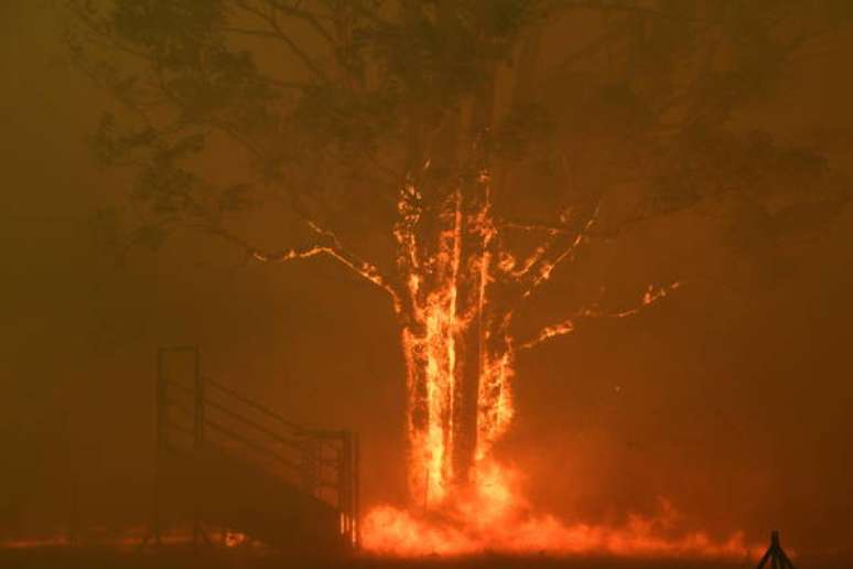 Incêndio florestal no estado de Nova Gales do Sul