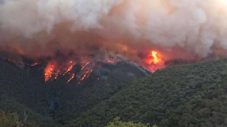 Estado australiano decreta emergência por incêndios no país